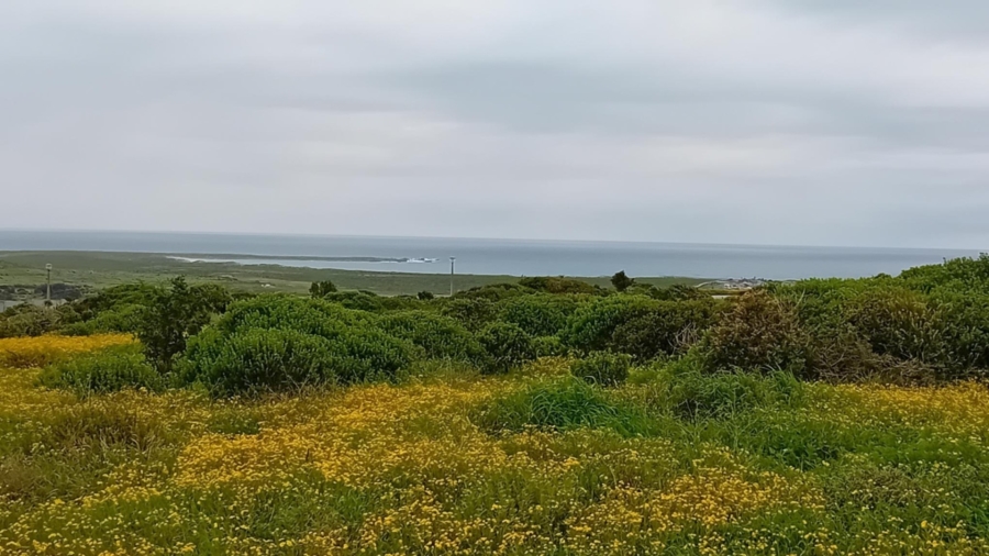 0 Bedroom Property for Sale in Saldanha Heights Western Cape